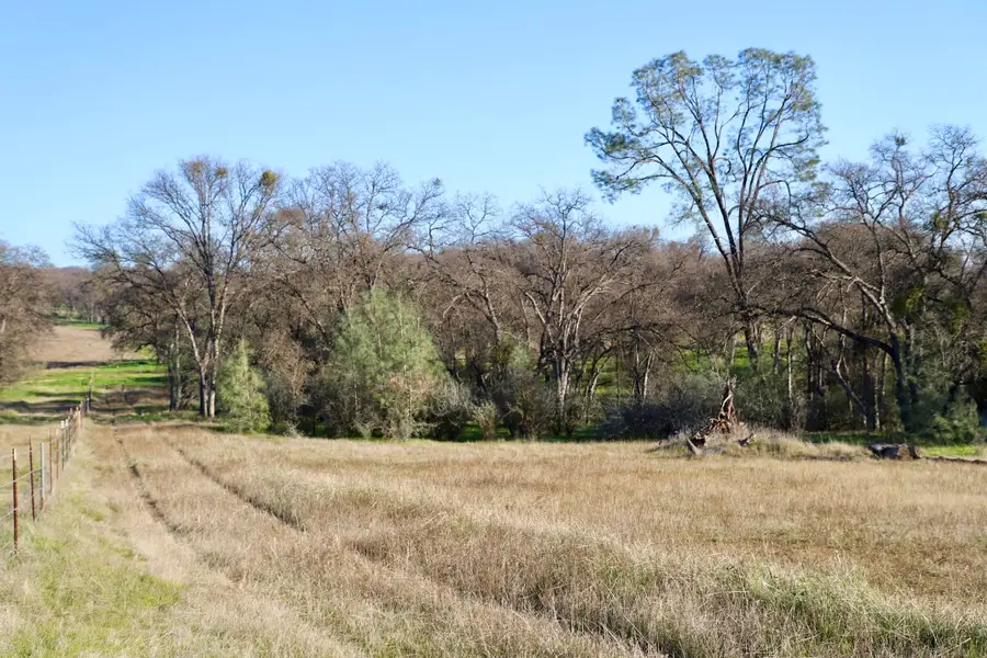 10282 Piney Creek, Coulterville, CA 95311 - Image #3