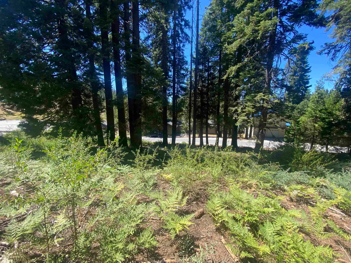 33994 Leland Meadow Rd, Pinecrest, CA 95364 - #1