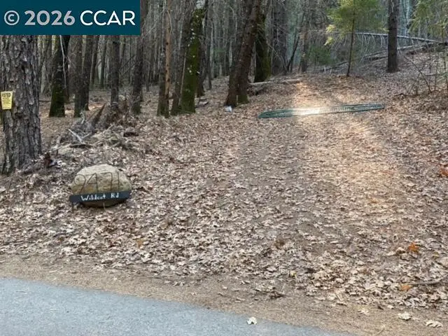 9471 Wildcat Rd, Kelseyville, CA 95451 - #2