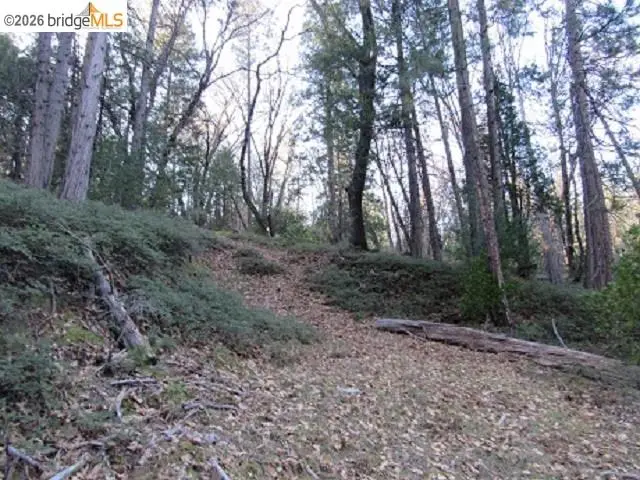 0000 Star Ridge Rd., Twain Harte, CA 95383 - #3