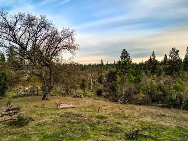 6422 Dogtown Rd., Coulterville, CA 95311