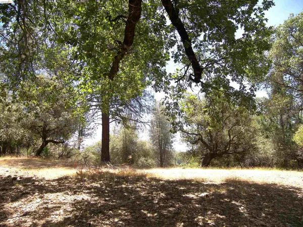 Address Withheld By Seller, Groveland, CA 95321
