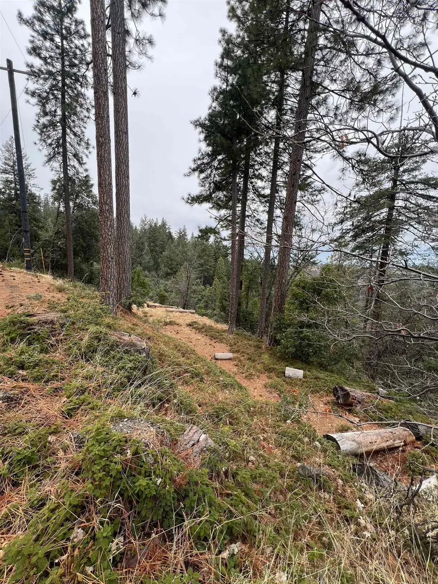 19262 Tanglewood Trl., Twain Harte, CA 95383 - Image #3