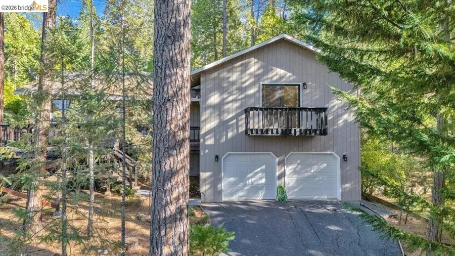 22693 Tamarack Dr, Twain Harte, CA 95383 - #3