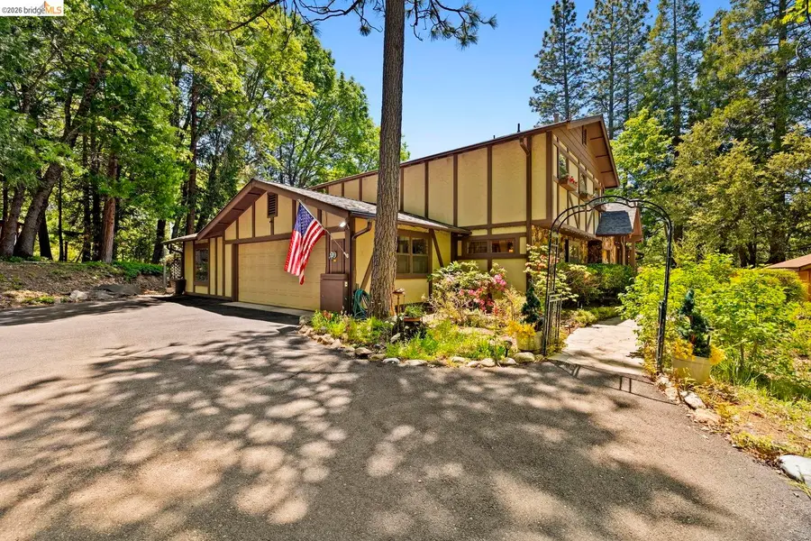 23451 Lakewood Dr, Twain Harte, CA 95383 - #2