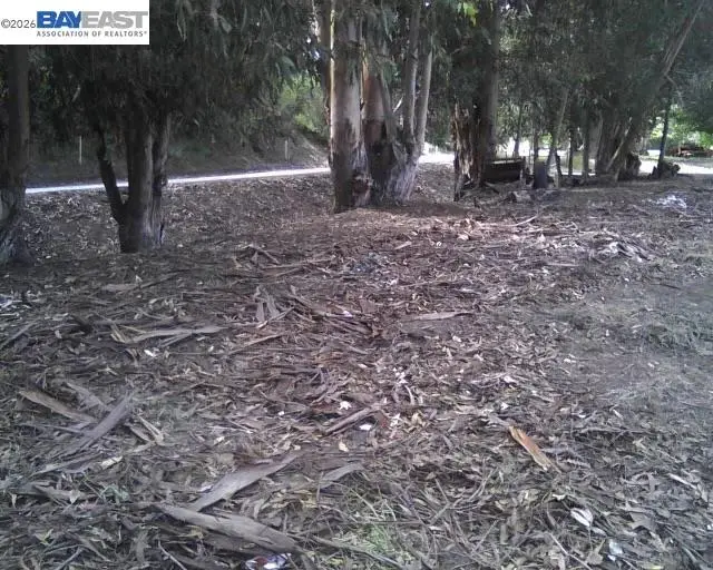 Morrison Canyon Rd, Fremont, CA 94536 - #1