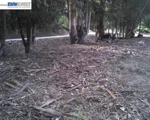 Morrison Canyon Rd, Fremont, CA 94536