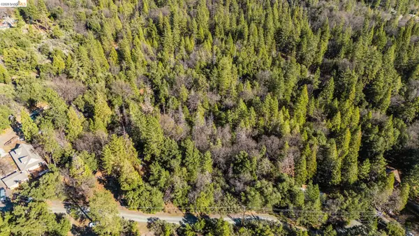 Par C Lazy Z, Sonora, CA 95370