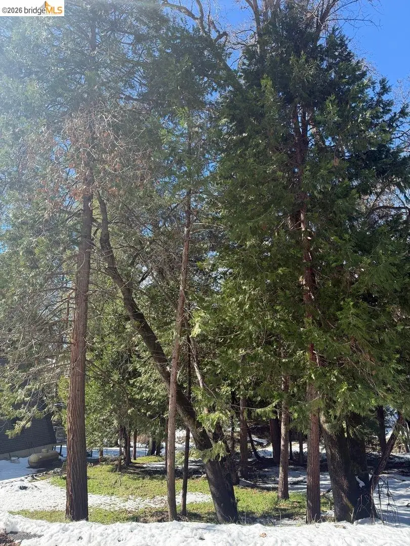 21730 Wasatch Mountain Rd, Sonora, CA 95370 - #1