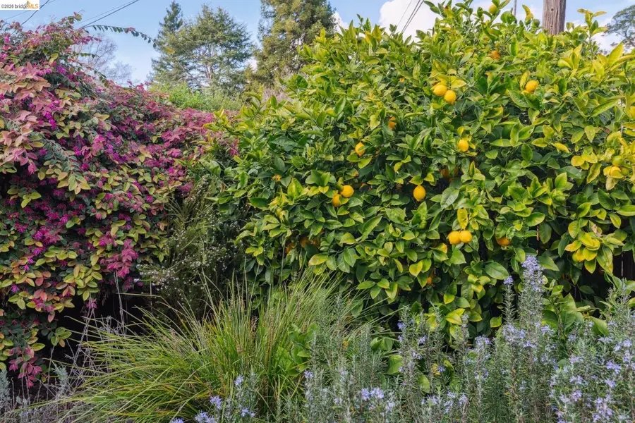 4651 Fair Ave, Oakland, CA 94619 - #2