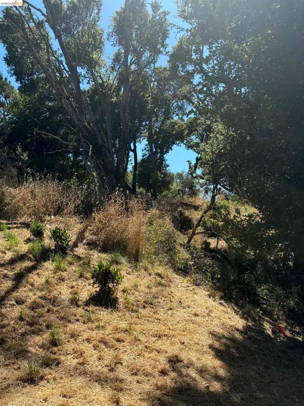 Spring Rd, Orinda, CA 94563