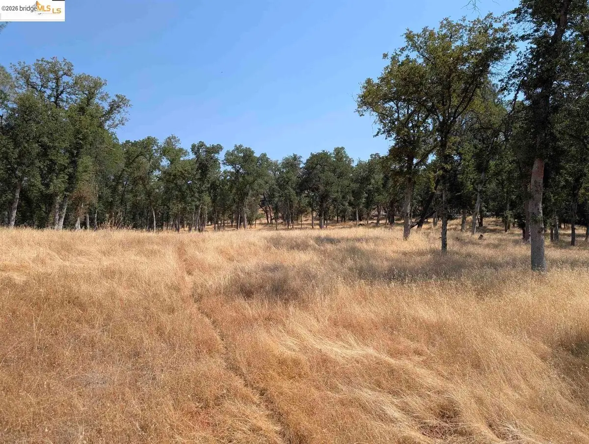 18340 Henry D Ct, Sonora, CA 95370 - #1