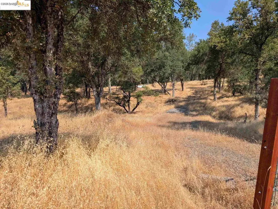 18340 Henry D Ct, Sonora, CA 95370 - #3