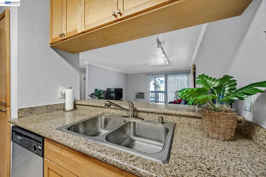 1087 Murrieta Blvd #242, Livermore, CA 94550 - #2