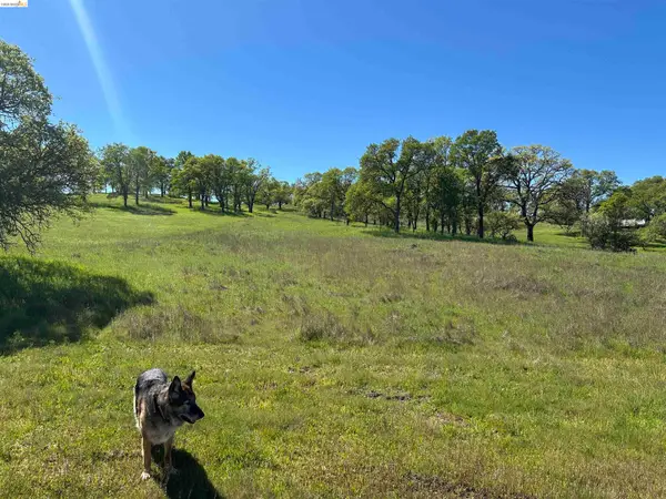 3404 Little John Rd, Copperopolis, CA 95228