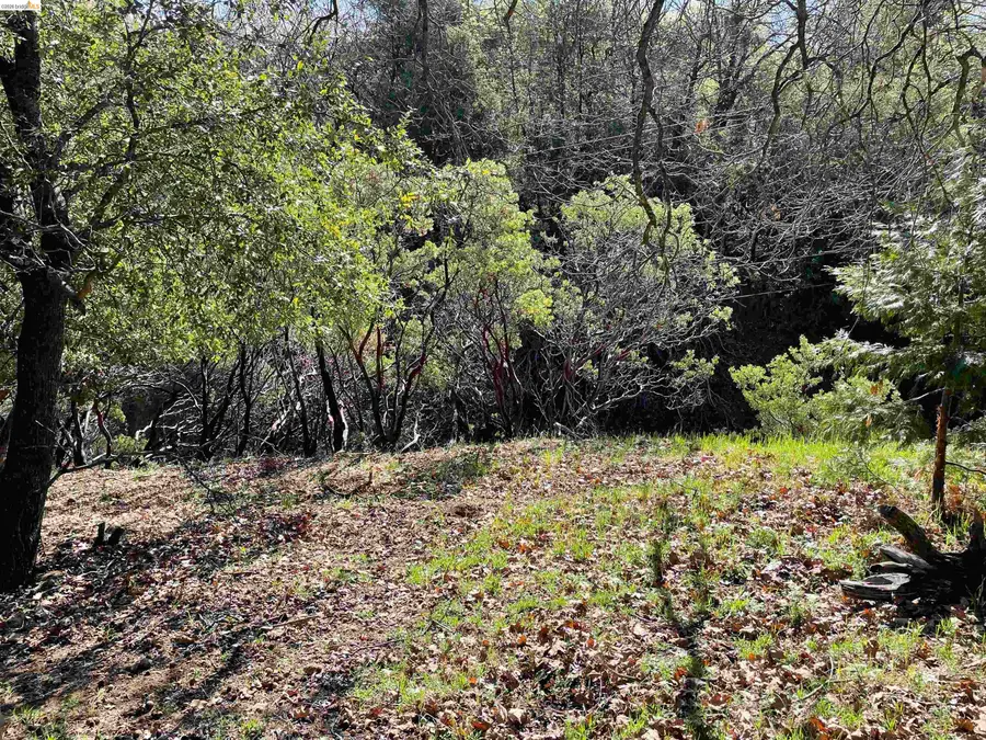 16505 S Creekside Dr, Sonora, CA 95370 - #2