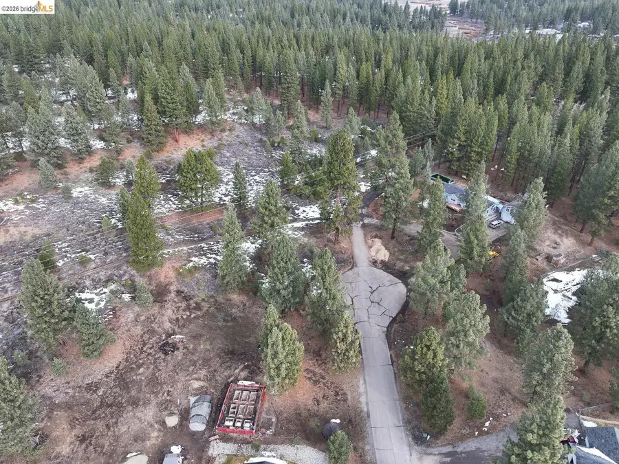 350 Espinal Dr, Portola, CA 96122 - #3