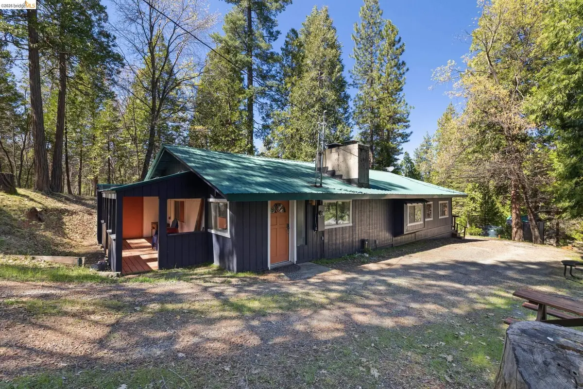 24189 S Fork Rd, Twain Harte, CA 95383 - #1