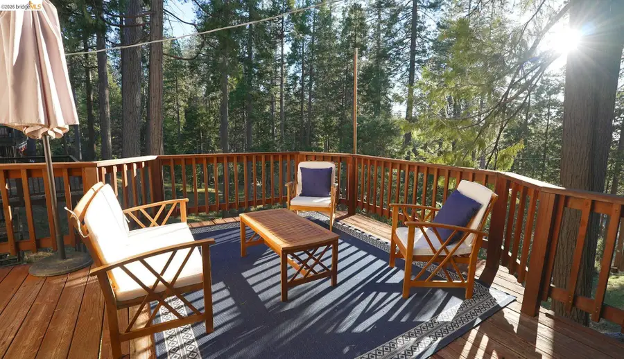 22912 Sierra Dr, Twain Harte, CA 95383 - #3