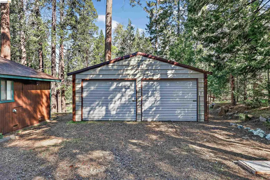 19388 Poplar, Twain Harte, CA 95383 - #3