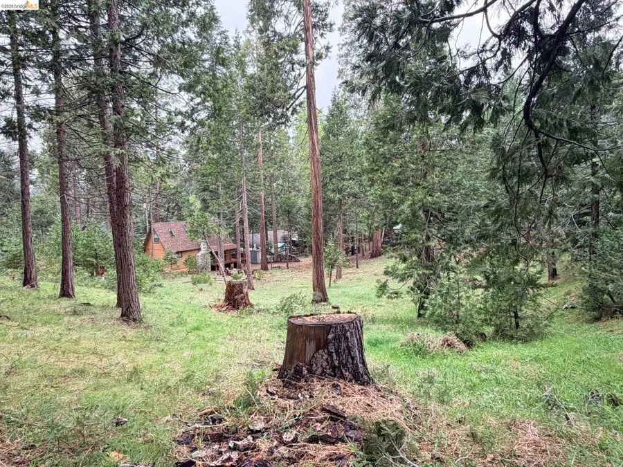 20681 Chief Fuller Way, Mi Wuk Village, CA 95346 - #3