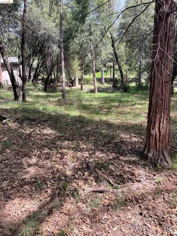 16594 Creekside Dr, Sonora, CA 95370