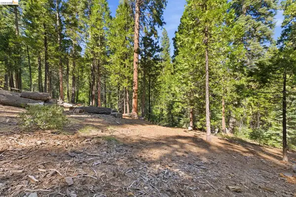 Lot 388 Kerns, Long Barn, CA 95335