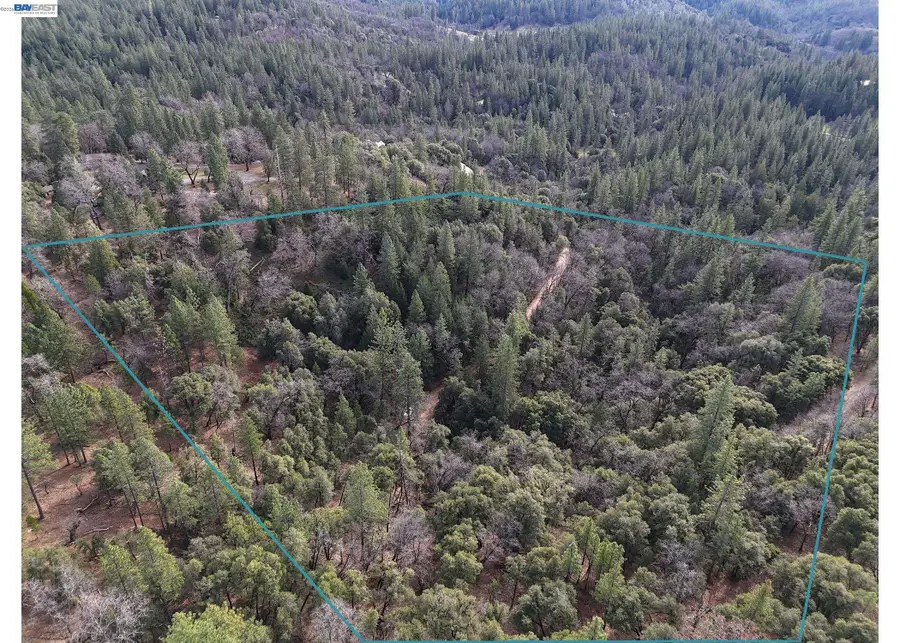 4700 Kelley Pl, Garden Valley, CA 95633 - #3