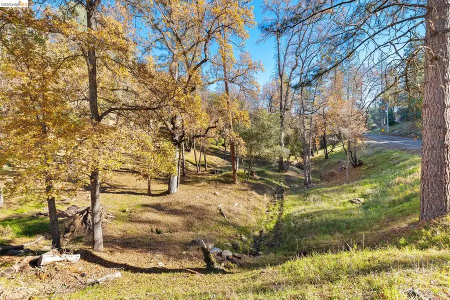 2/291 Ferretti Rd, Groveland, CA 95321 - #3