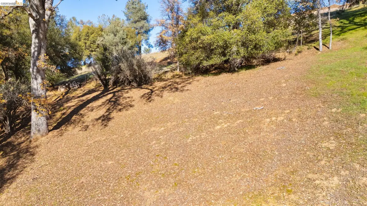 13212 Mohrmann St, Groveland, CA 95321 - #1