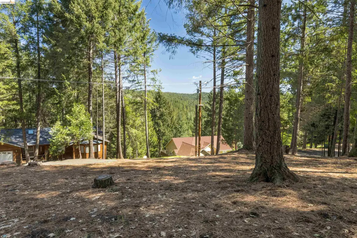 5651 Daisy Cir, Pollock Pines, CA 95726 - #1