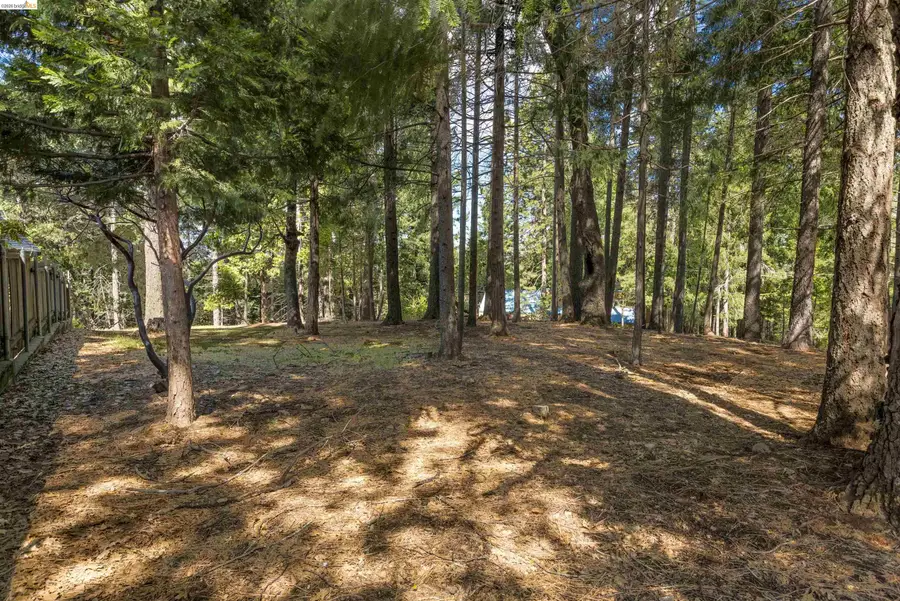 5651 Daisy Cir, Pollock Pines, CA 95726 - #3