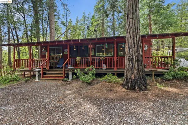 19979 Mountain Misery, Twain Harte, CA 95383