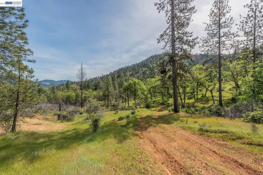 1780 Dutch Creek Rd, Junction City, CA 96048 - #3