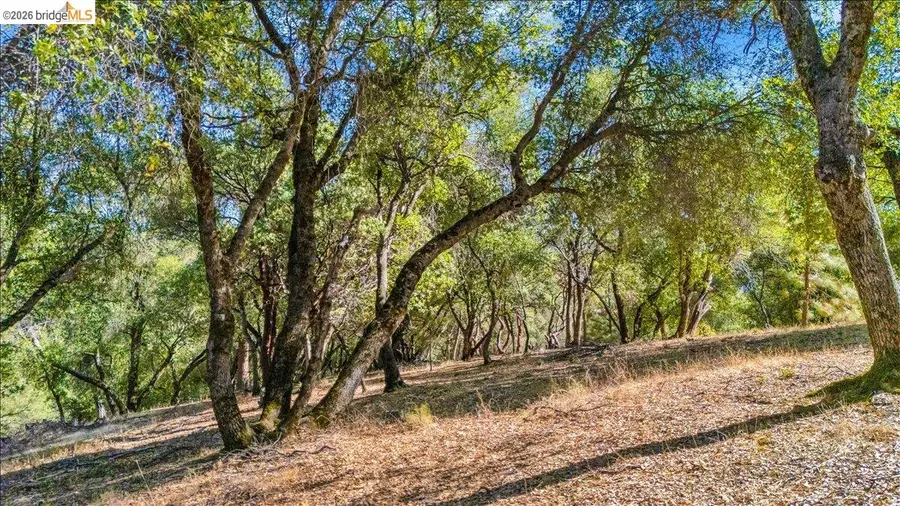 20275 Ferret Ct, Groveland, CA 95321 - #2