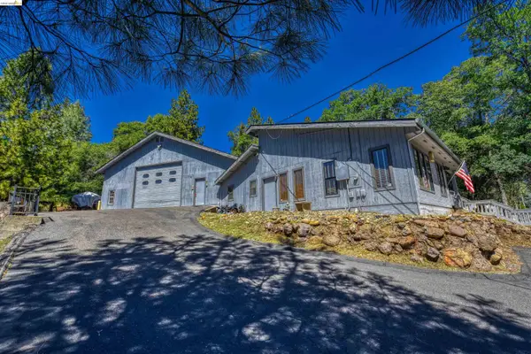 20950 Ferretti Rd, Groveland, CA 95321