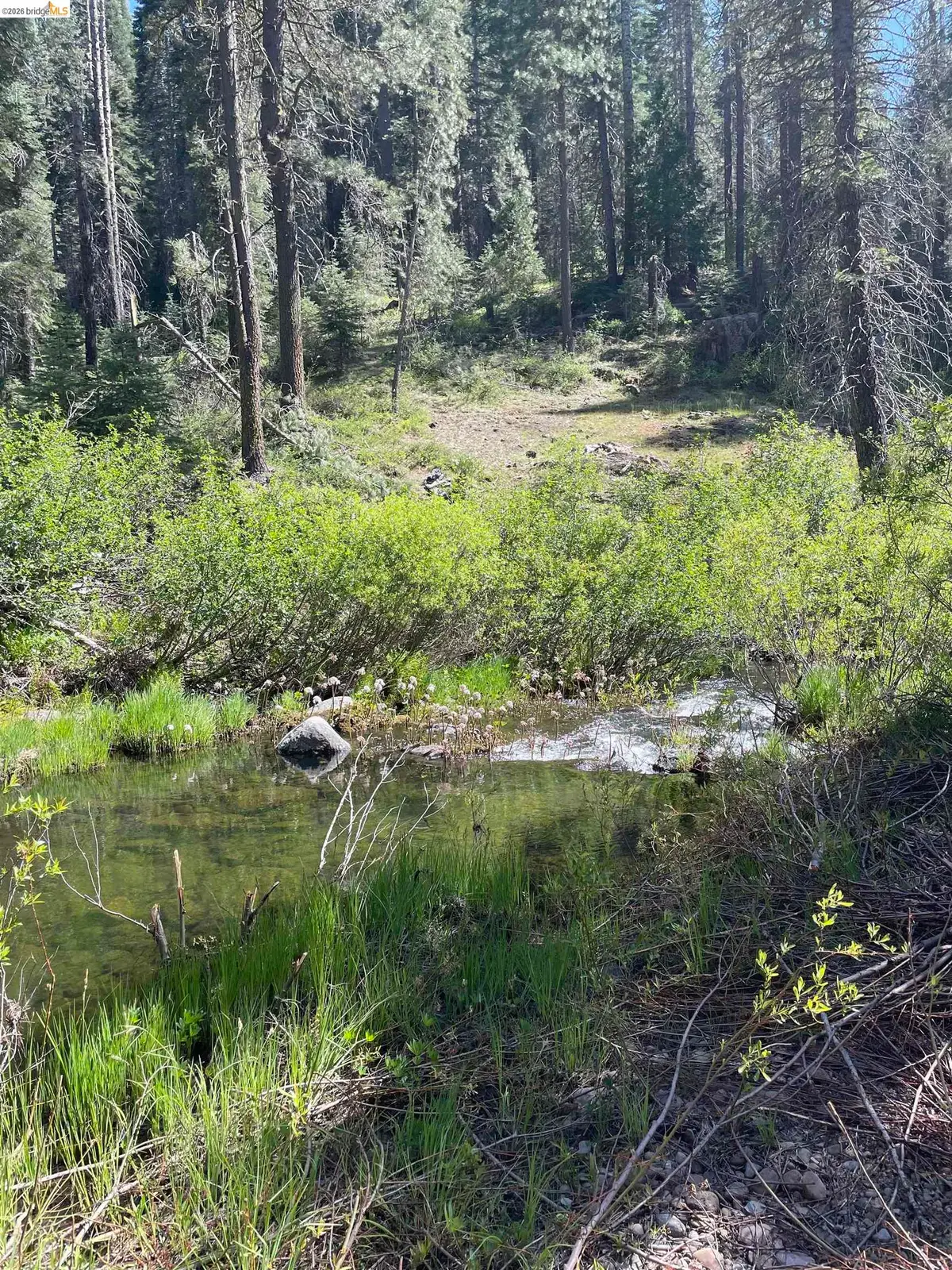 26777 Browns Meadow Rd, Long Barn, CA 95335 - #1
