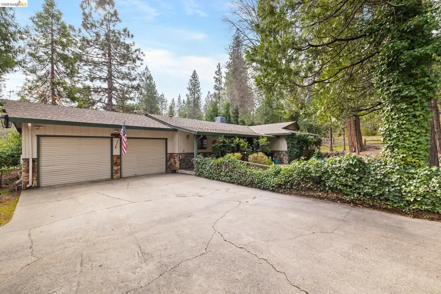 22698 Robin Hood Dr, Twain Harte, CA 95383 - #3