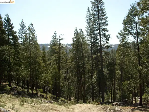 29733 Kerns Drive Lot 441, Cold Springs, CA 95335