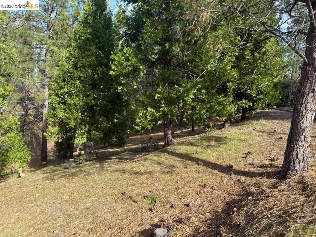12037 Breckenridge Rd, Groveland, CA 95321 - #1