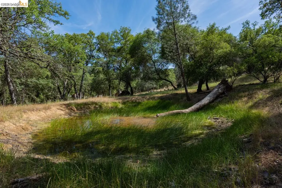 0 0 Pool Station Rd, Angels Camp, CA 95222 - #3