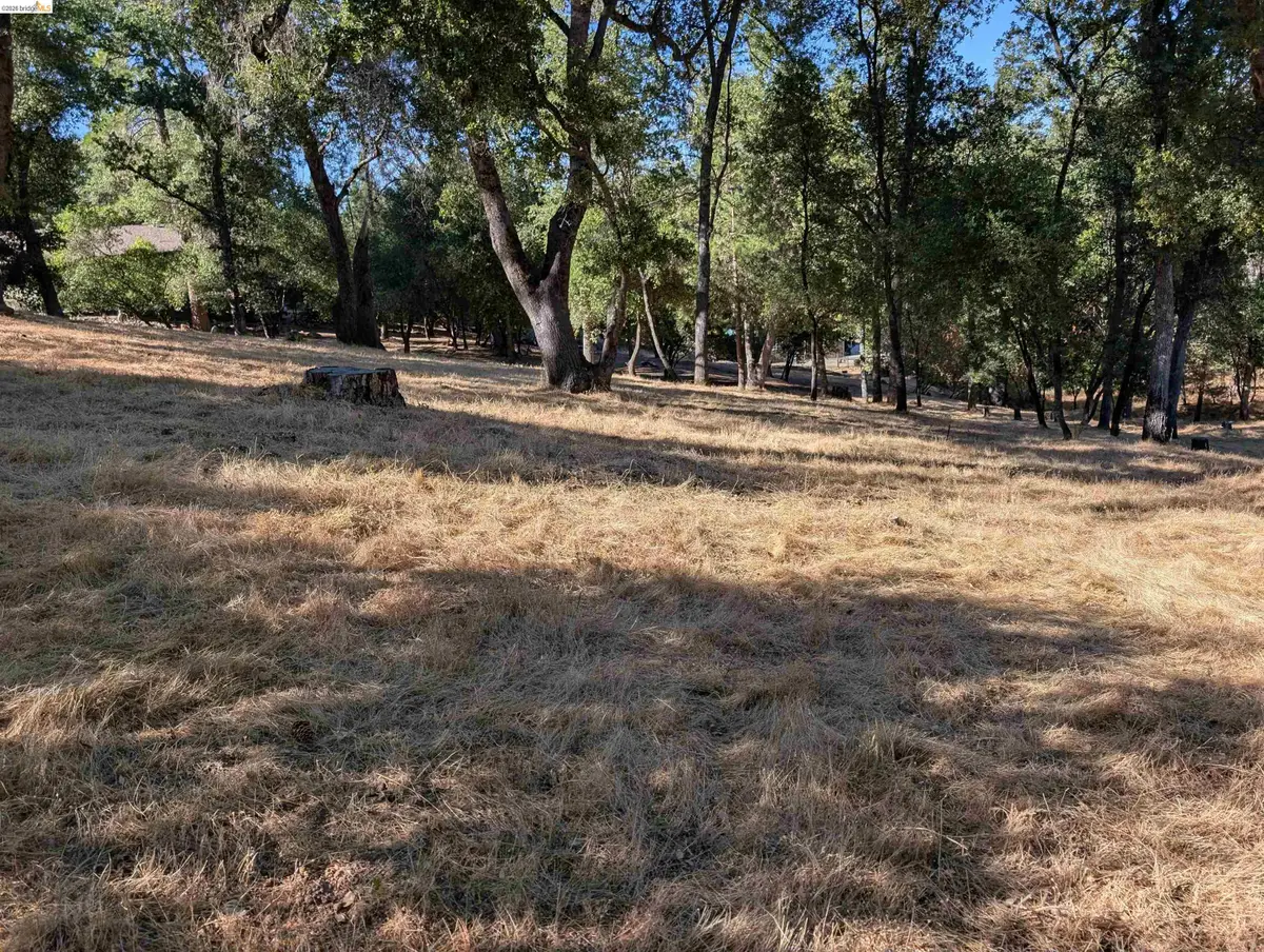19055 Crocker Station, Groveland, CA 95321 - #1