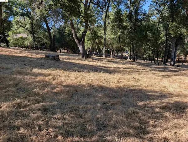19055 Crocker Station, Groveland, CA 95321