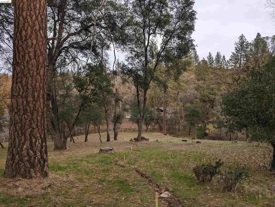 19055 Crocker Station, Groveland, CA 95321 - #3