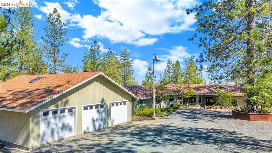 10421 Dexter Ln, Coulterville, CA 95311 - #3