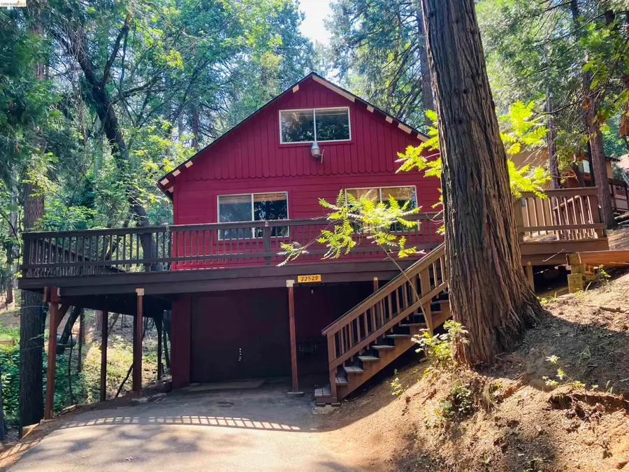 22529 Lina Ln, Twain Harte, CA 95383 - #2