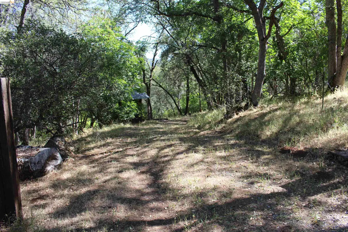 12000 Cattle Drive Trail, Columbia, CA 95310 - #1