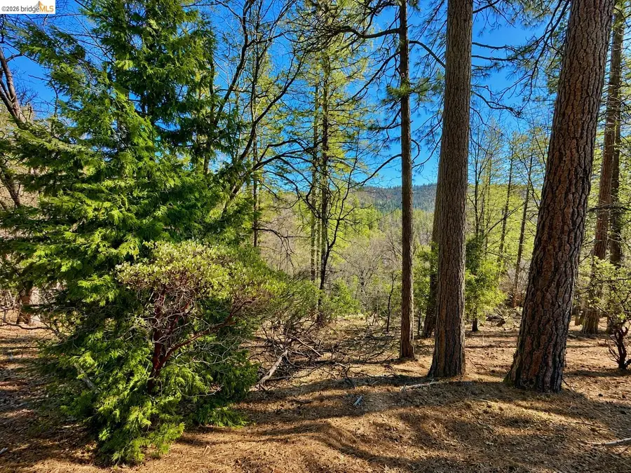 23804 S Oxbow Lane, Sonora, CA 95370 - #3