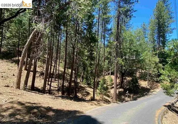12000 Trapper, Groveland, CA 95321 - #1