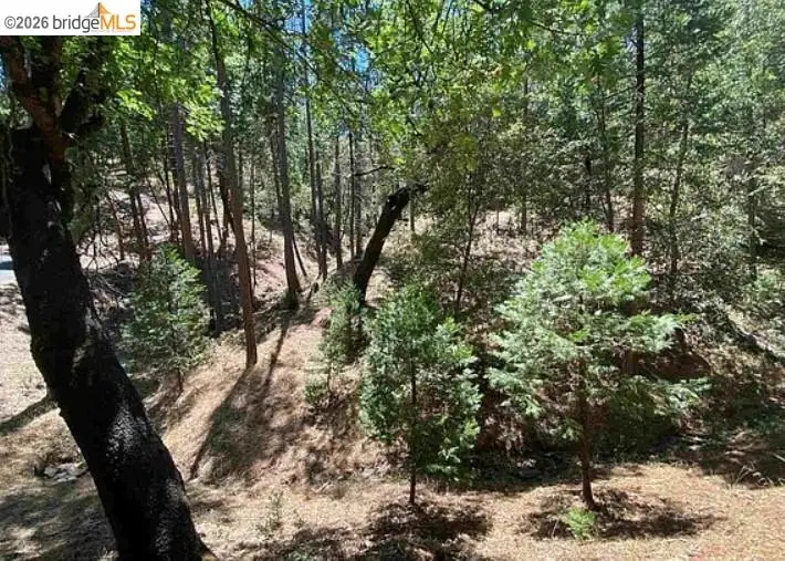 12000 Trapper, Groveland, CA 95321 - #2